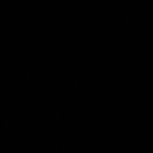 Meet your Posher, Daisy